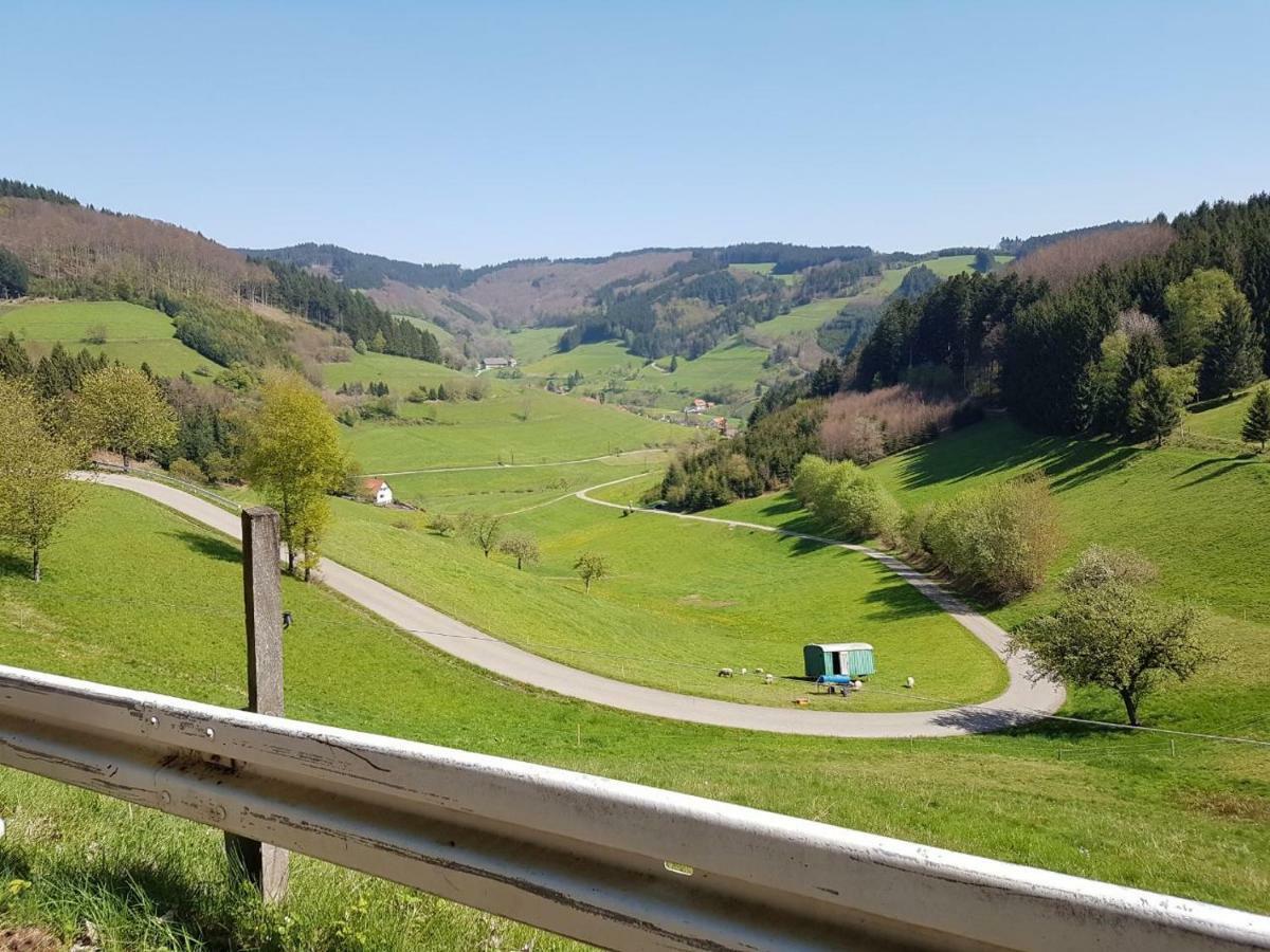 Am Siegelbaechle -2 Mit E-Bikes Vermietung Siegelau エクステリア 写真
